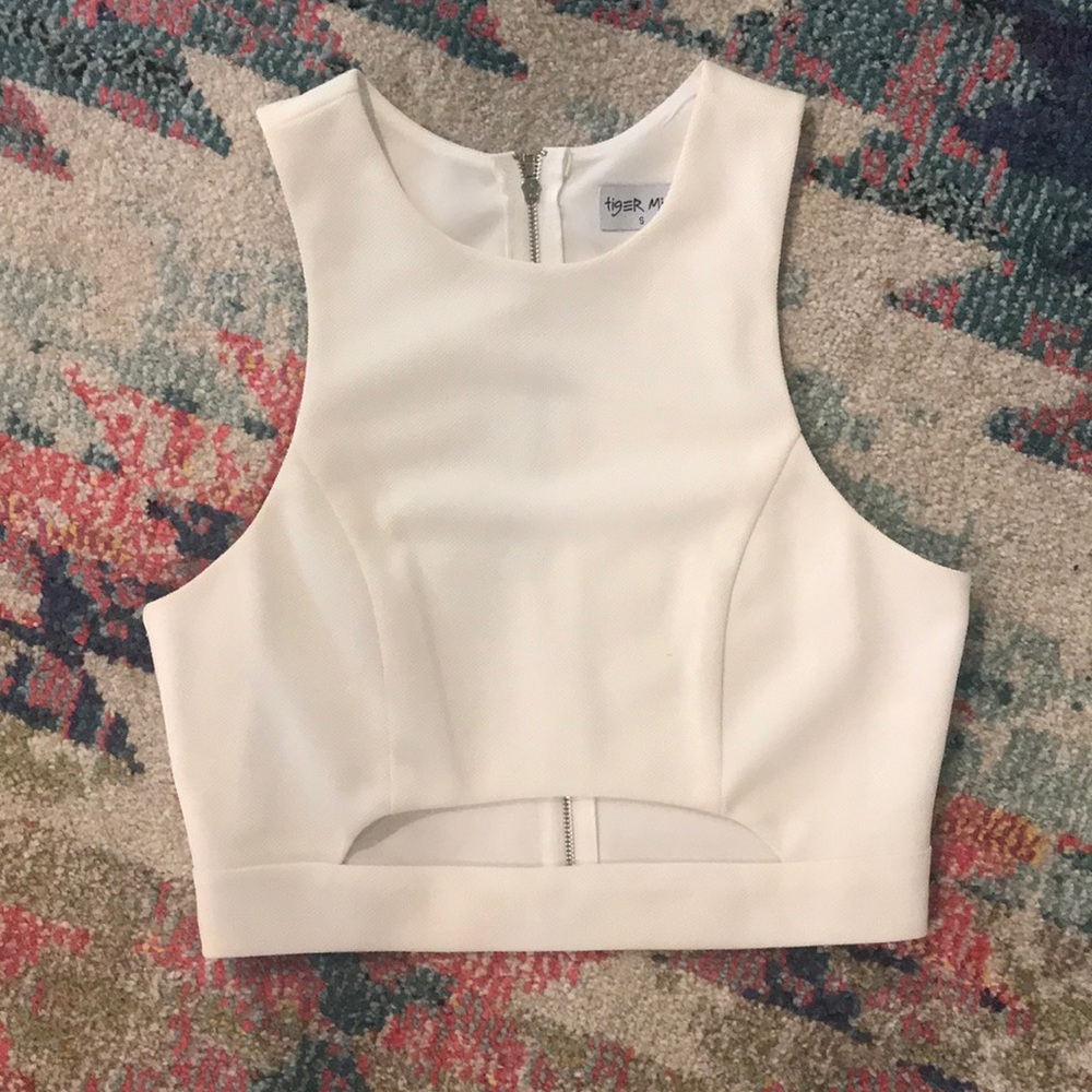 Tiger Mist Crop Top